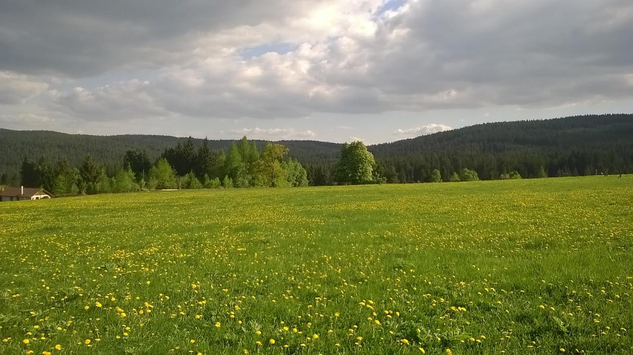 Apartment-chalet-chaloupka U Trnku