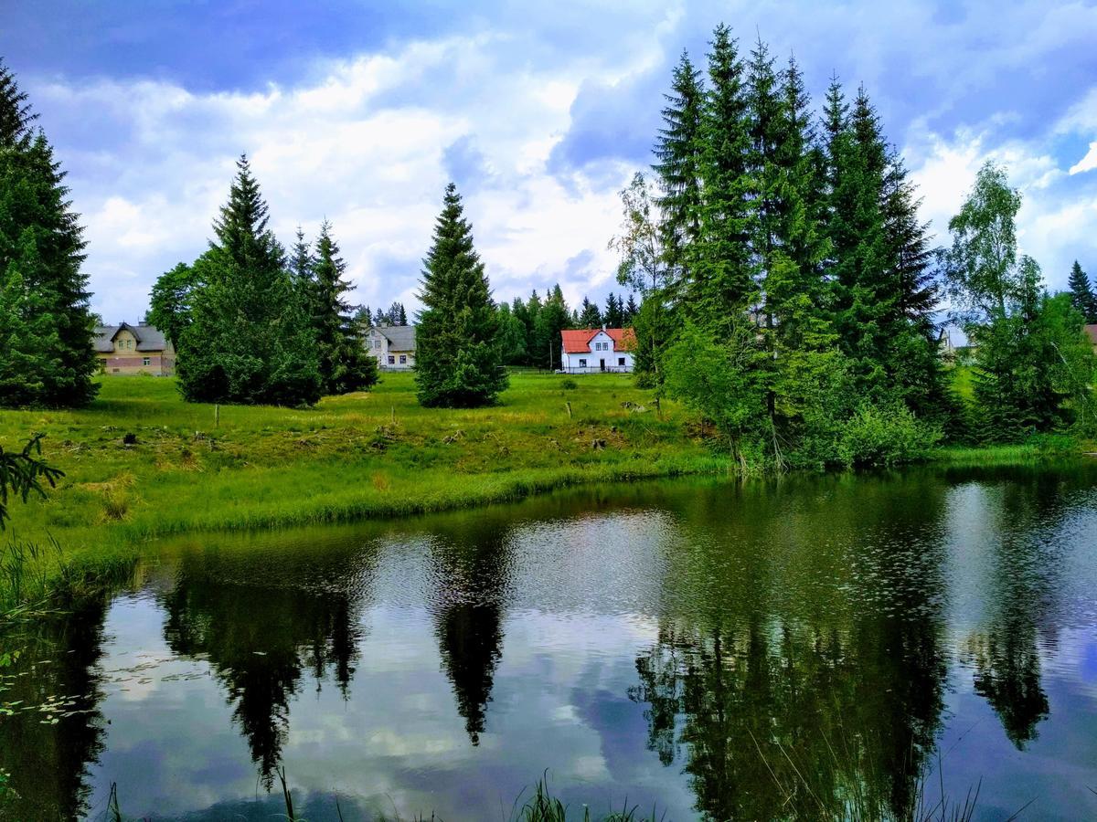 Apartment-chalet-chaloupka U Trnku *
