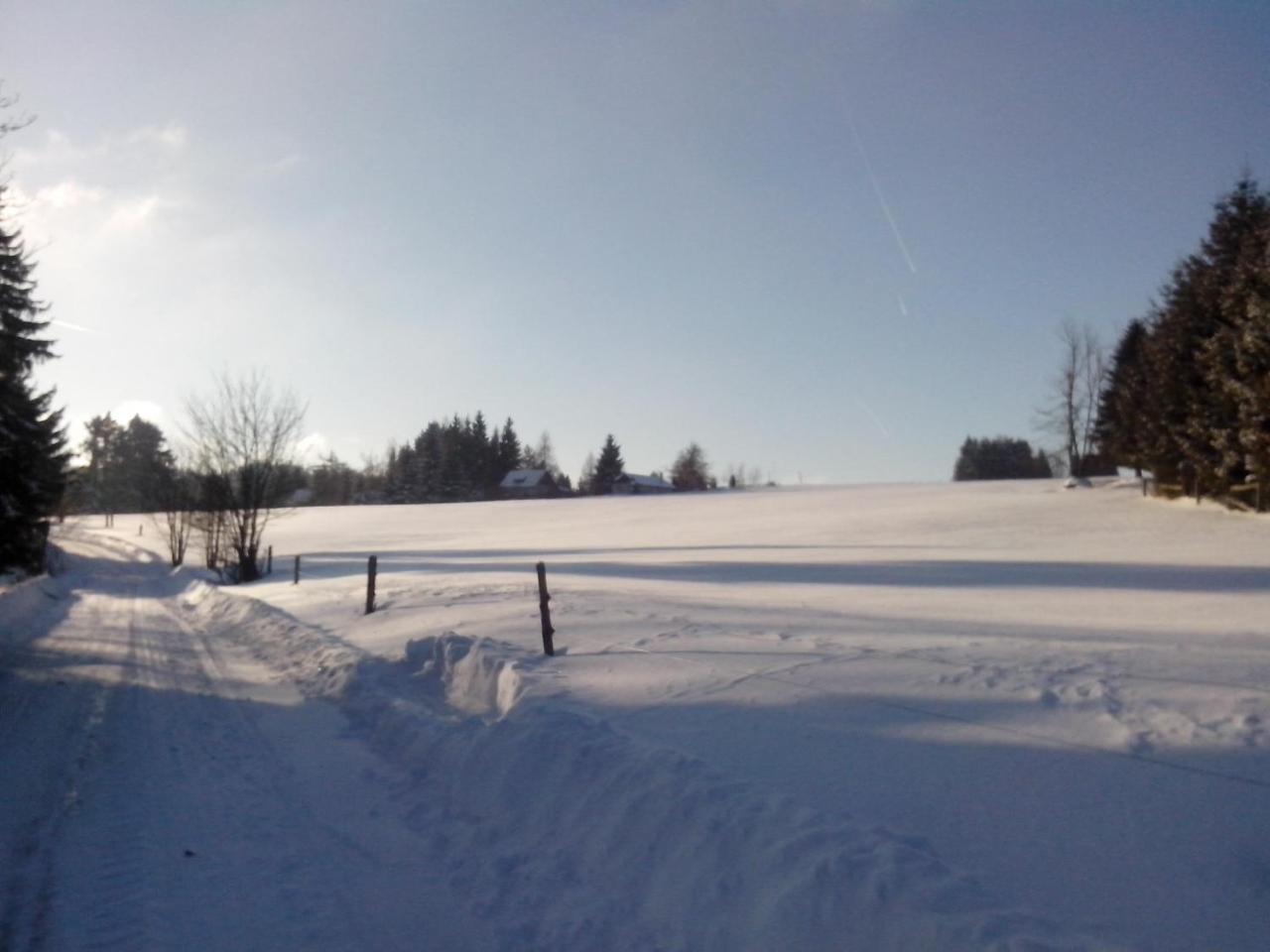 Apartment Apartment-chalet-chaloupka U Trnku *