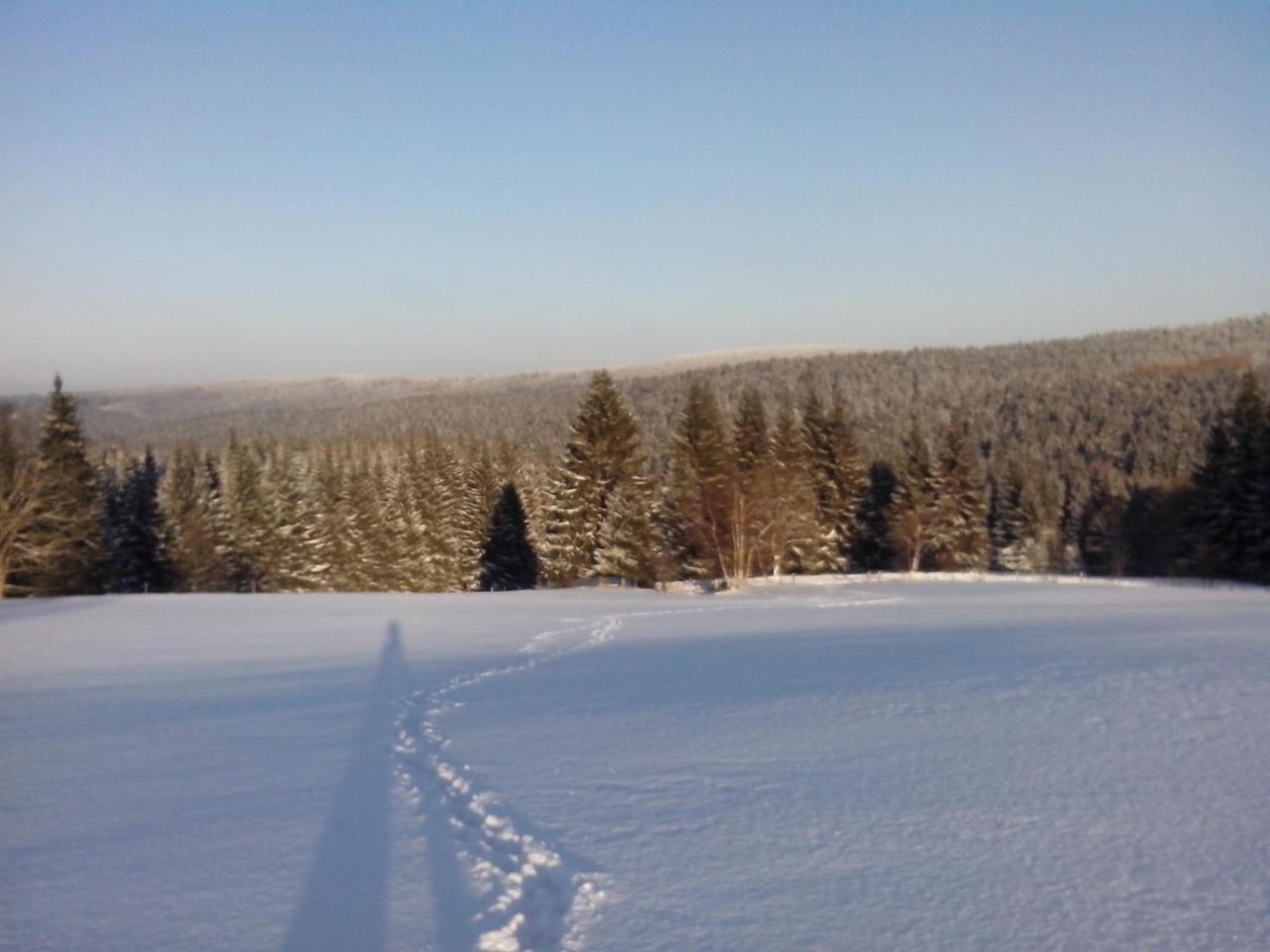 Apartment Apartment-chalet-chaloupka U Trnku